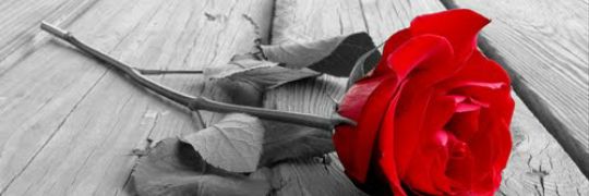 TATOMAT's profile banner image