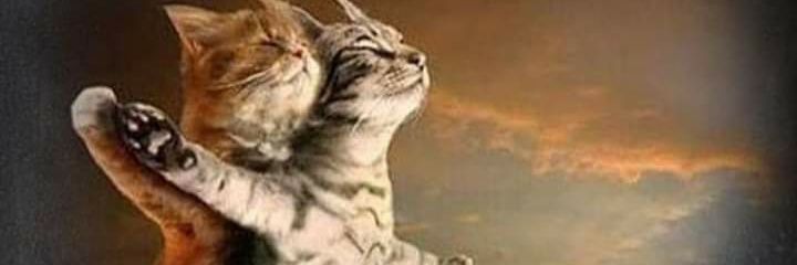 starlyn0710's profile banner image