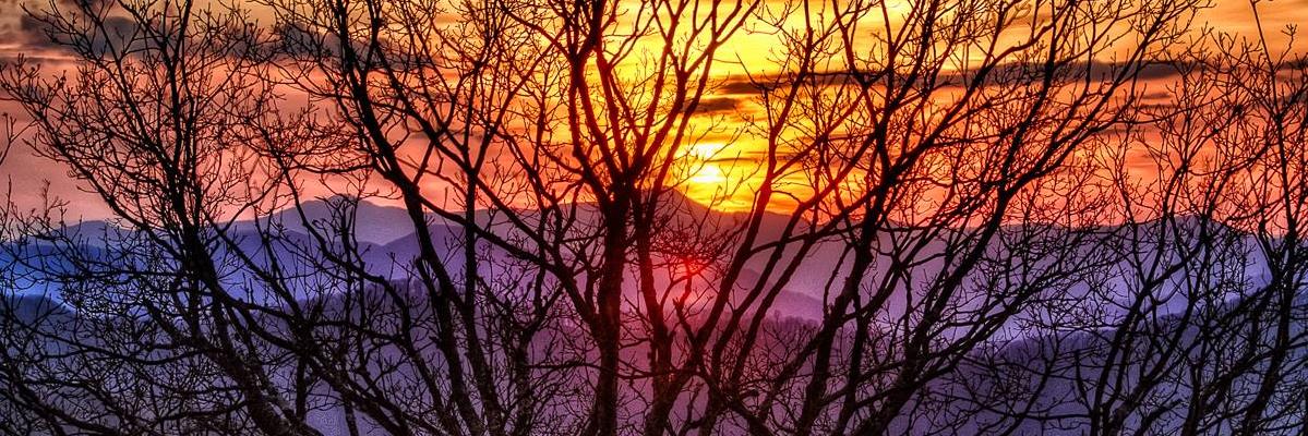 mcconn318's profile banner image