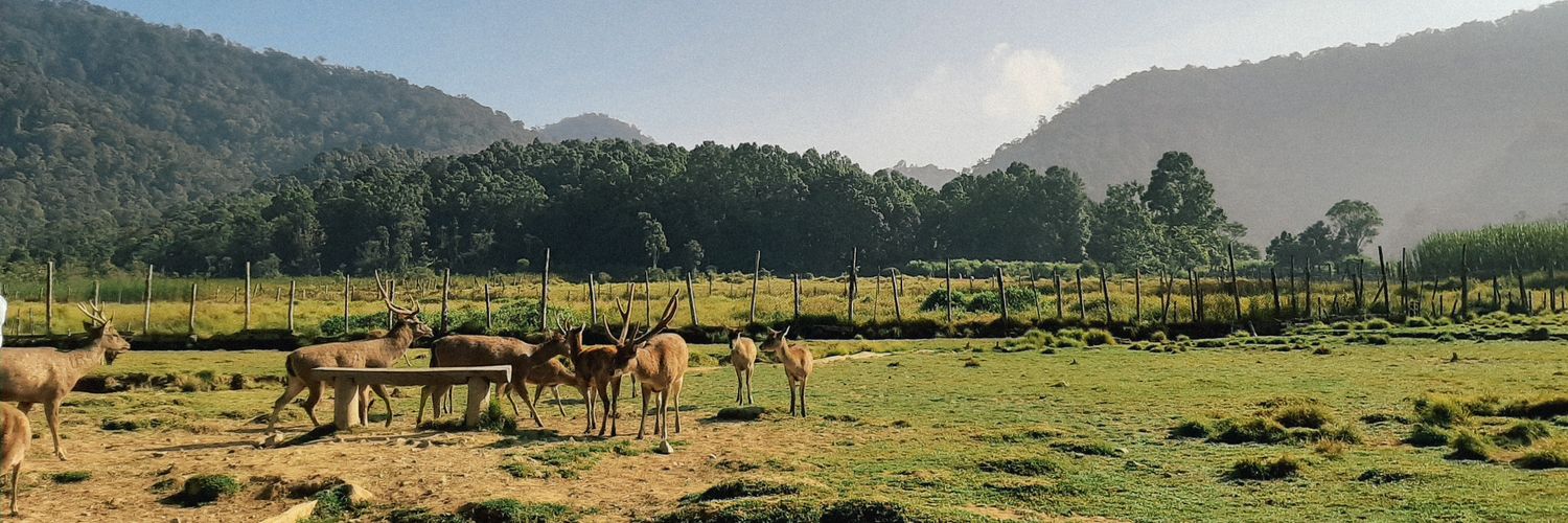 husnulkhtmhh's profile banner image