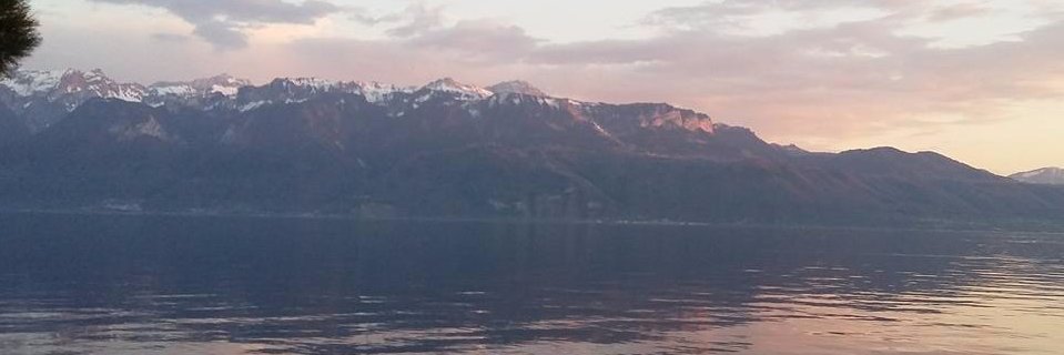 valekovale's profile banner image