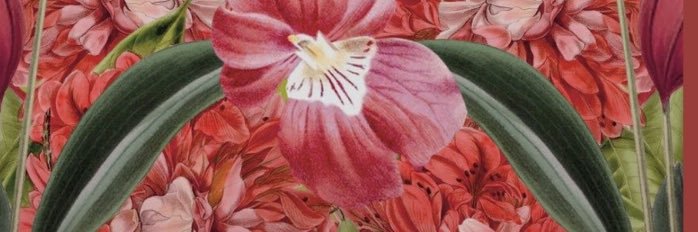 Melba Escobar banner