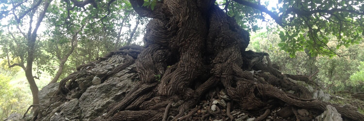 bitto badger crew banner