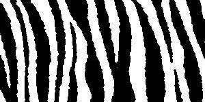 devissmm's profile banner image