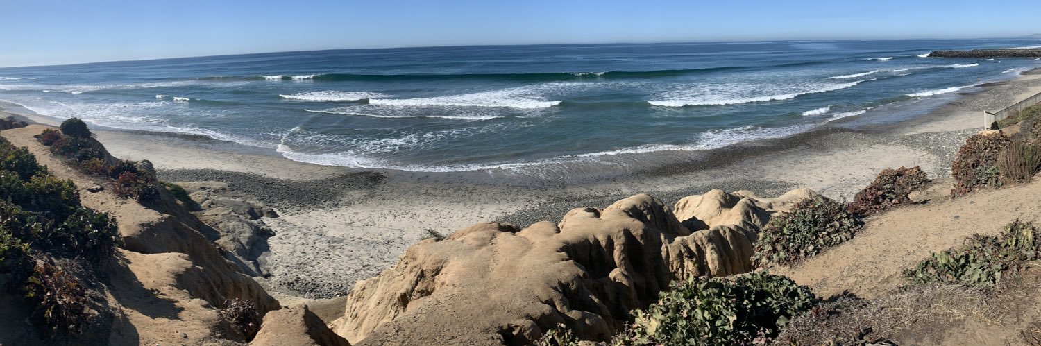 Sydney Willike banner