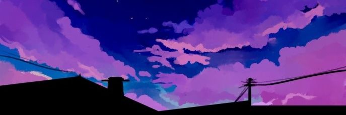 SalvajeO's profile banner image