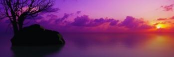 Mad556's profile banner image
