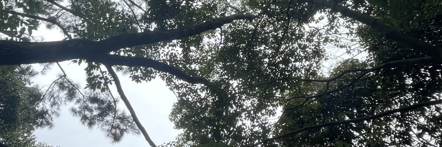 ⛰️ banner