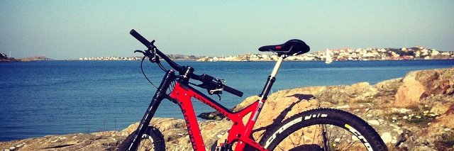 Gunnar Skarland banner