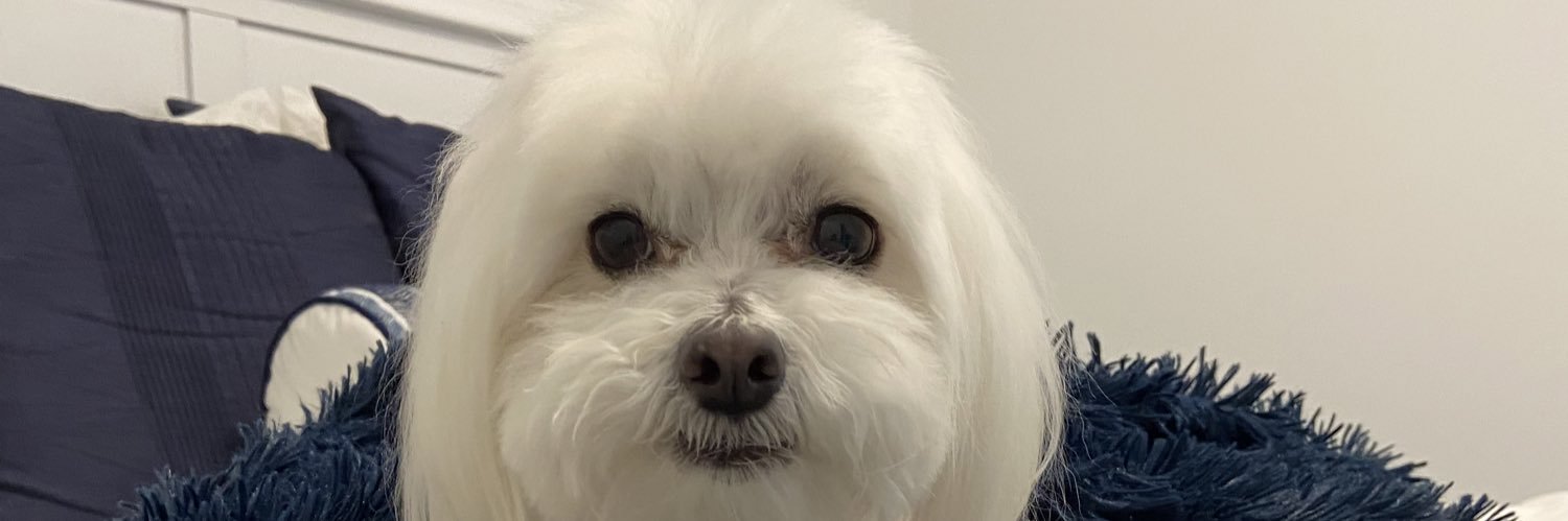reneesbelle's profile banner image