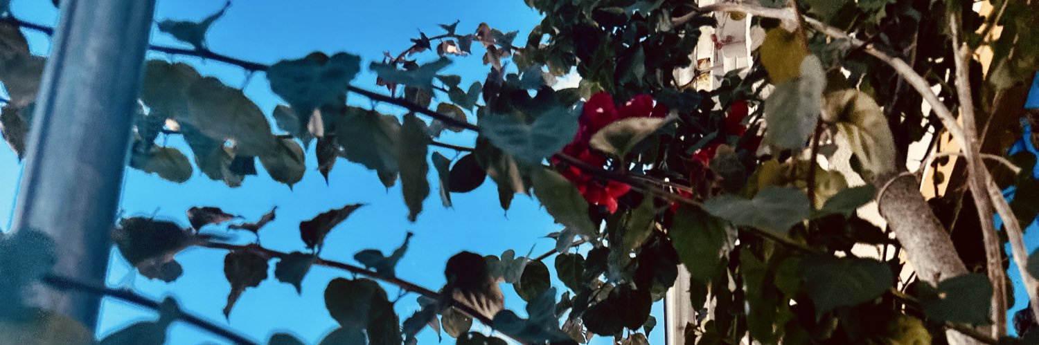 isawhy's profile banner image