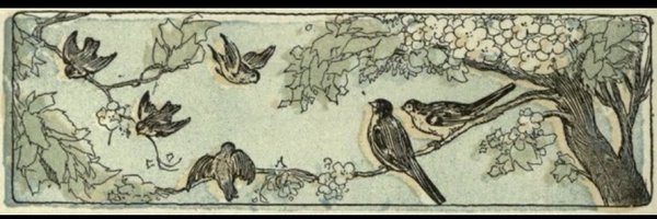 MadiGuest Profile Banner