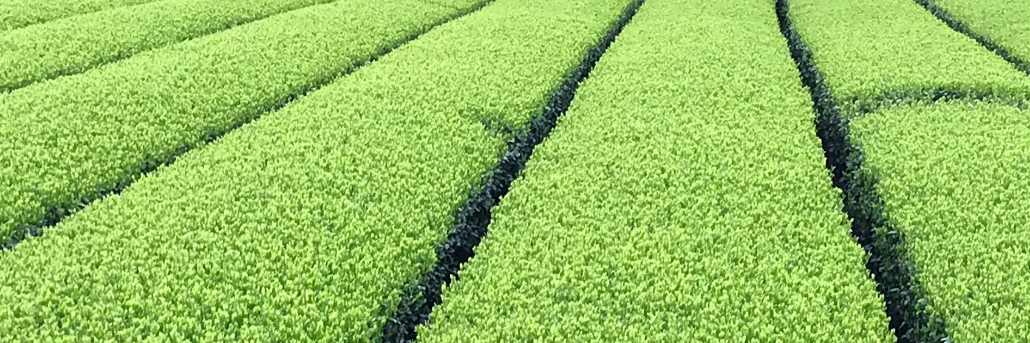 TOKYO_MATCHA_S's profile banner image
