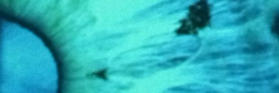 FawneGibb's profile banner image