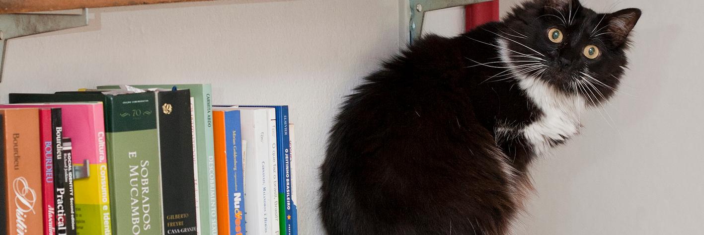 Luciana Walther banner