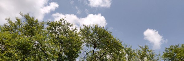 rajeshmeena_25 Profile Banner