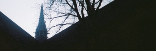 fbrnoi's profile banner image