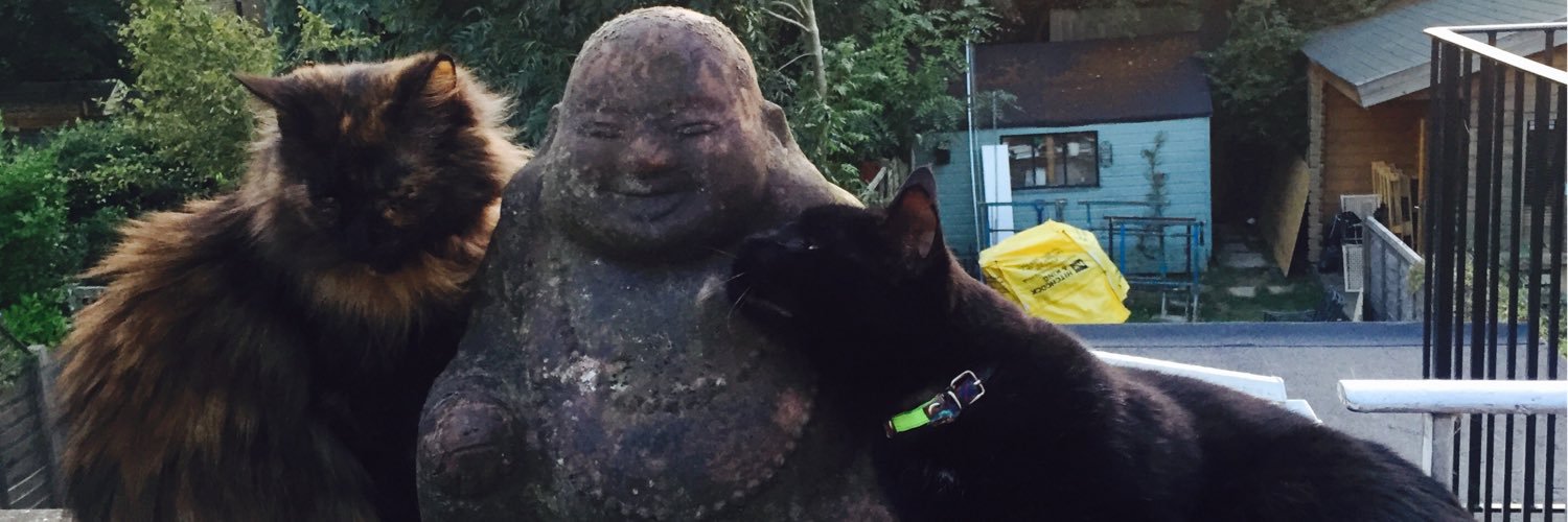 anyascats's profile banner image