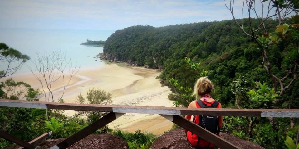 Demelza Pedler banner