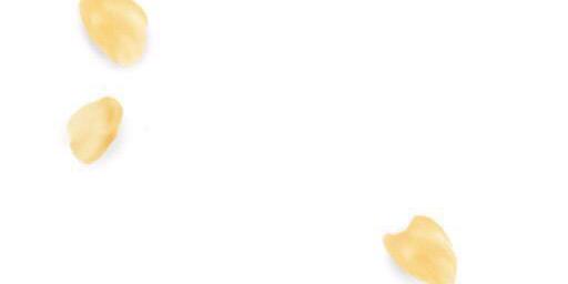HappyLittlePchi's profile banner image