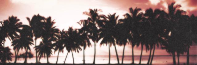 theywantlyss's profile banner image
