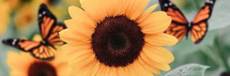 Nikita Bhavan banner