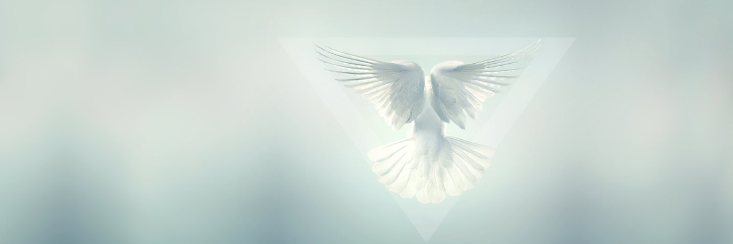 alejandroatia's profile banner image