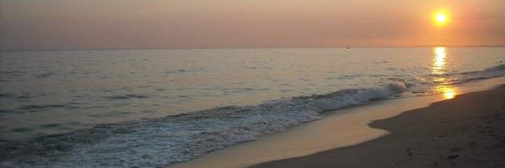 Carla 💙🐉 banner