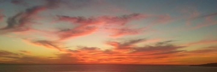 esuperiorforest's profile banner image