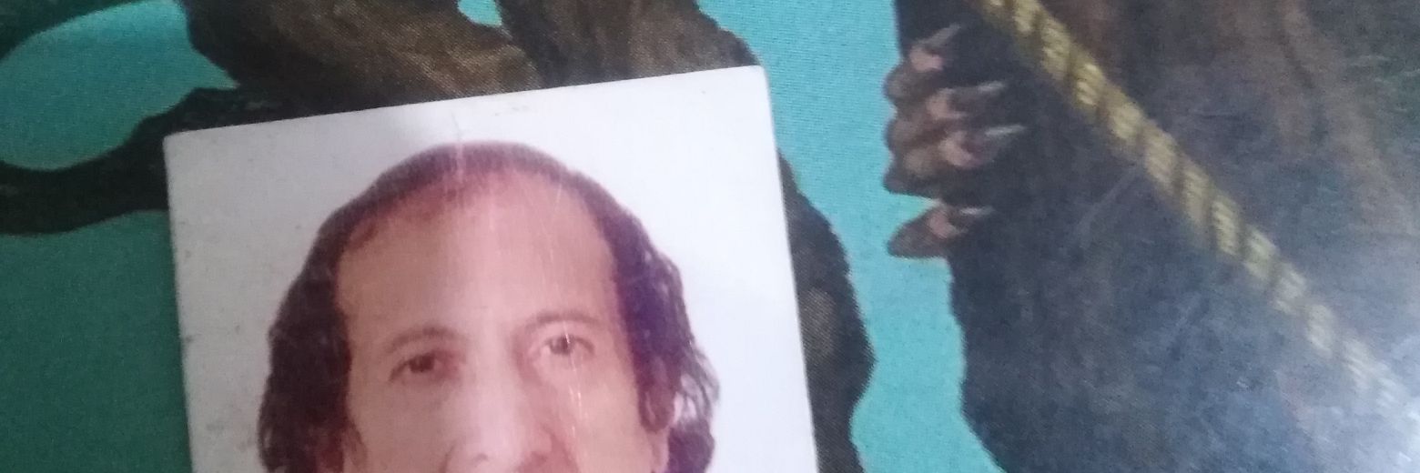 paxsalchi's profile banner image