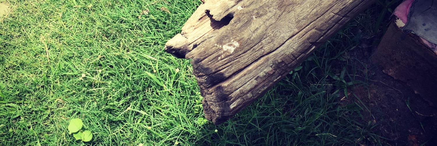 𝘿𝙪𝙠𝙚𝙧 banner