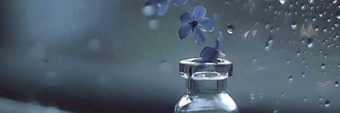 Bandar Al-Shehri banner