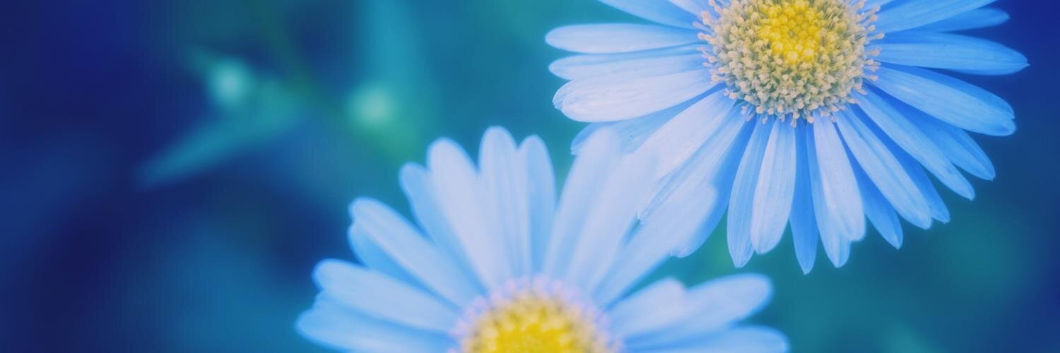 galbokko's profile banner image