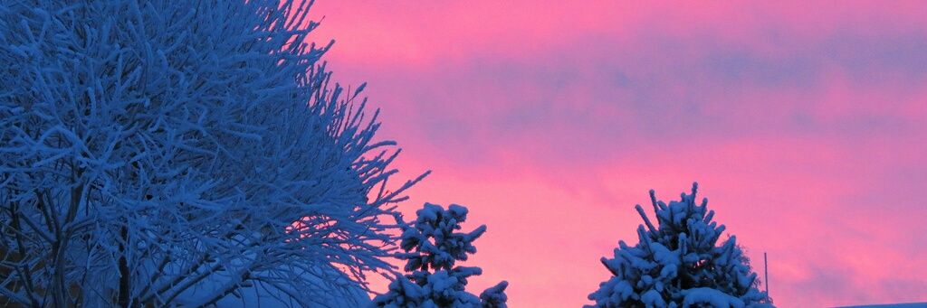 stolmbaby's profile banner image