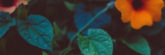 Marygaby8's profile banner image