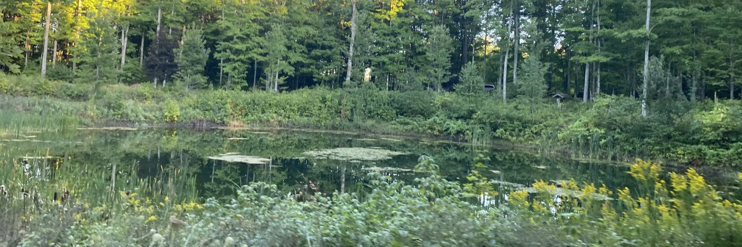 CamColee12's profile banner image