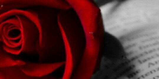 KNT___NO313's profile banner image