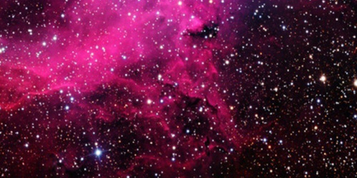 danielamoyanoa's profile banner image