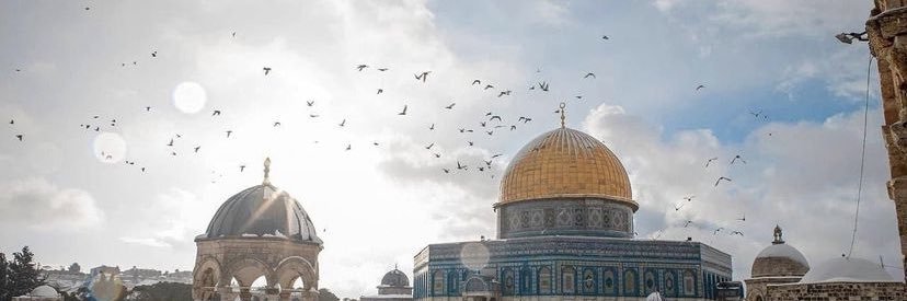 فيصل البريدي banner