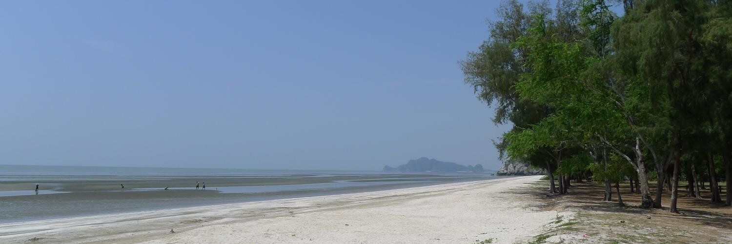 Butchaiah Gadde|బుచ్చయ్య గద్దె banner