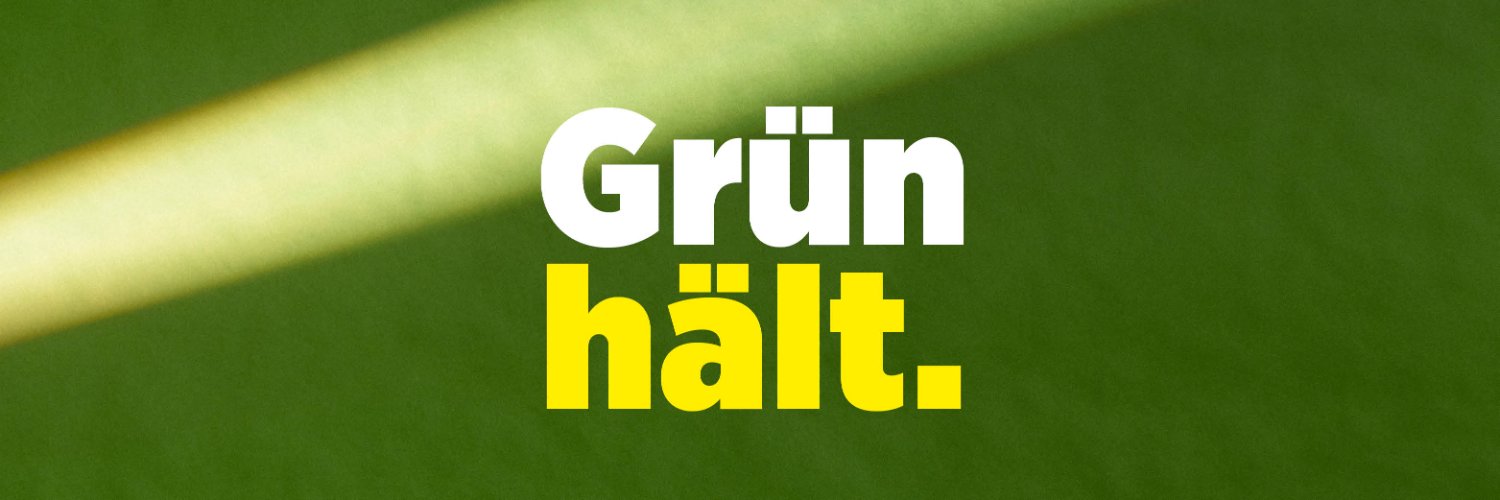 Die Grünen Steiermark banner