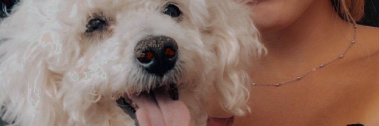 LulyTorti's profile banner image