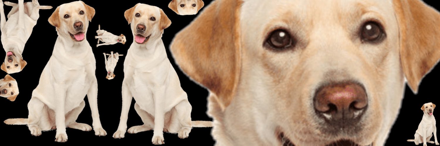 Frandomthought's profile banner image