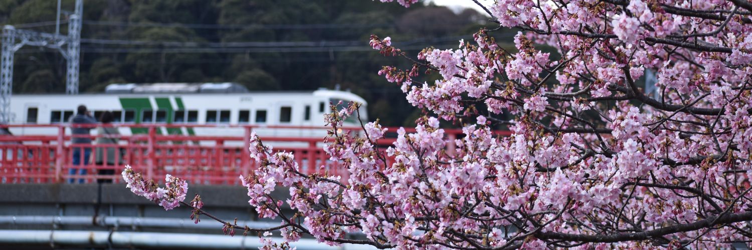 kunc01's profile banner image
