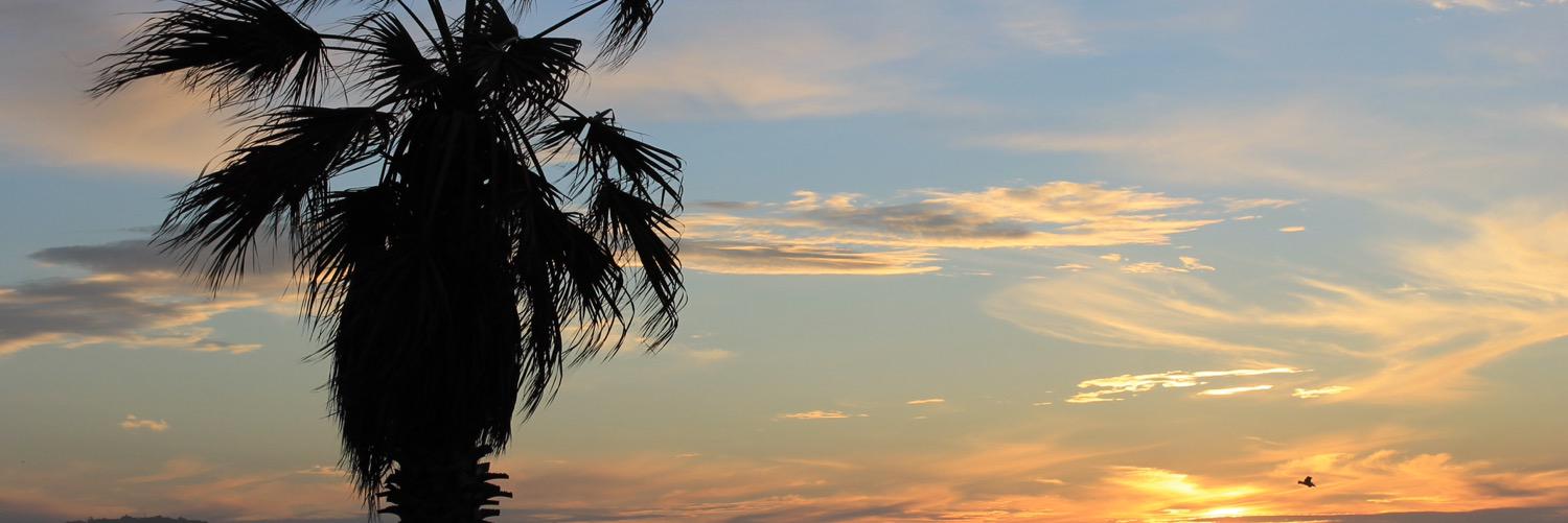 stefanoo_t's profile banner image