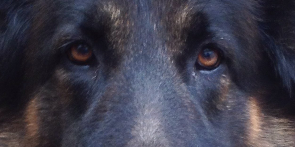 Lloooorch's profile banner image