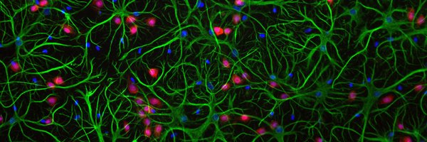 a_hfillit Profile Banner