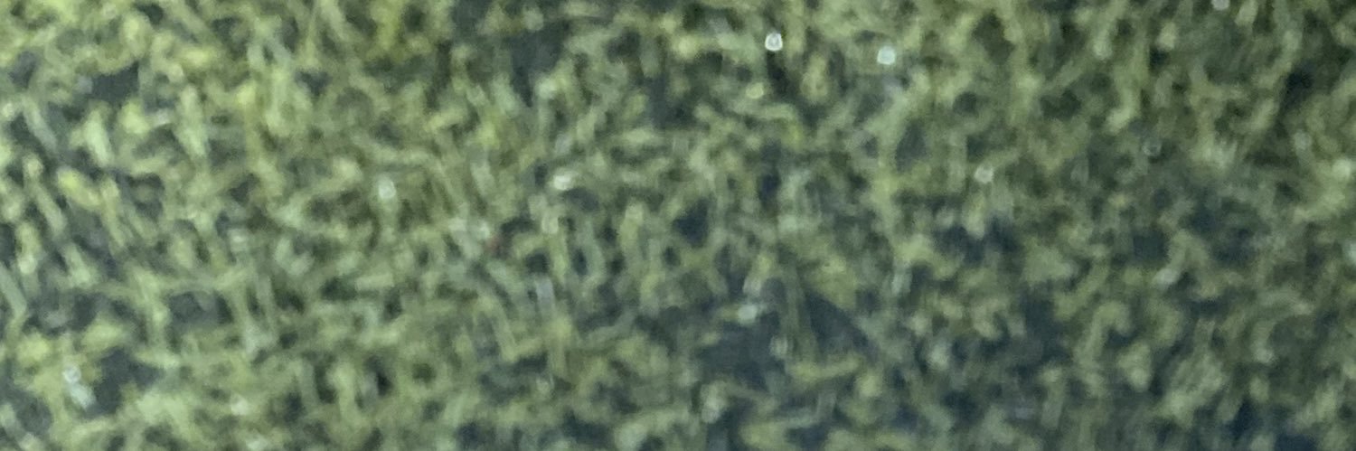 watermelonhabit's profile banner image