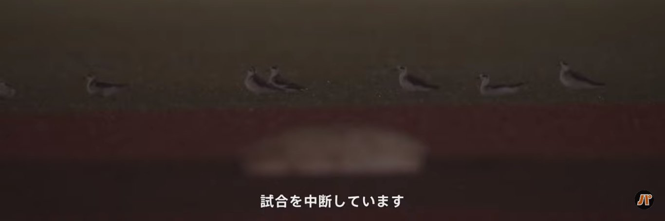 atsusindream's profile banner image