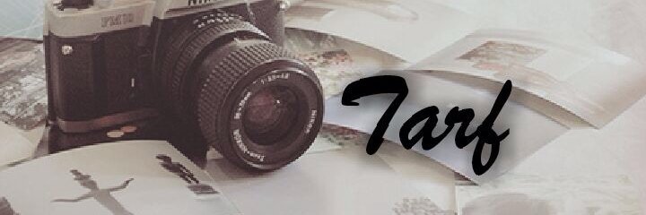 Tarf____ii's profile banner image